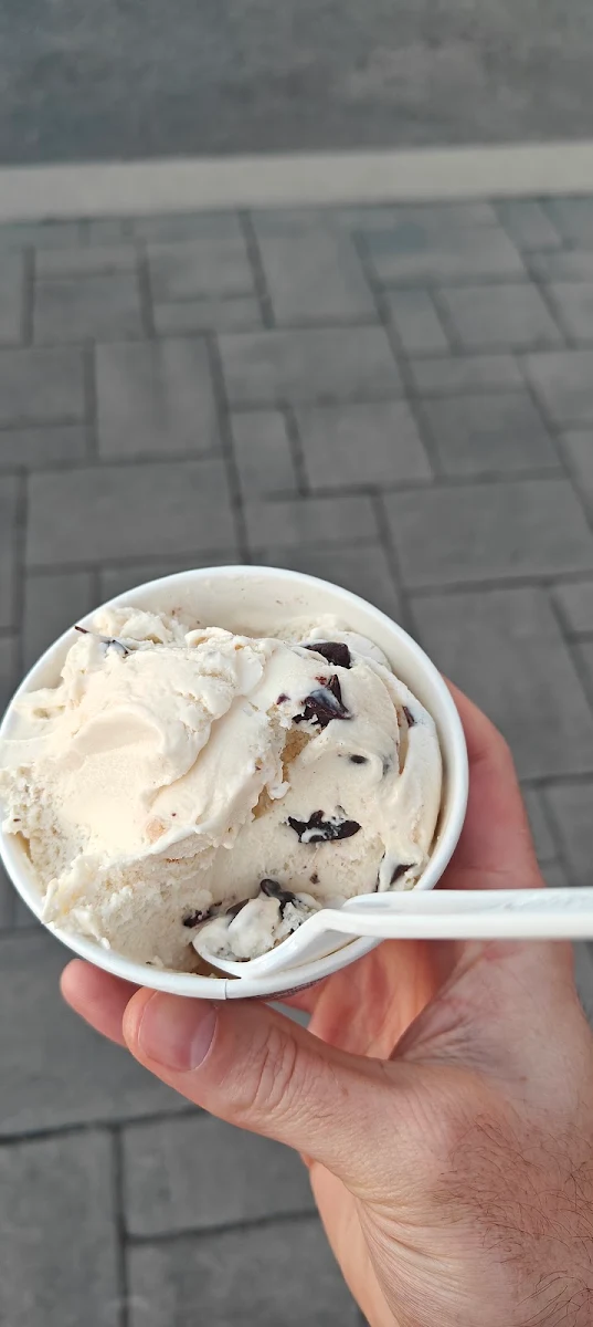 Chocolate Chip Cookie Dough Ice Cream