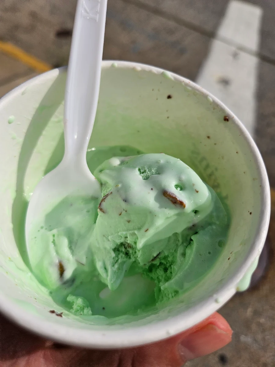Mint Chocolate Chip