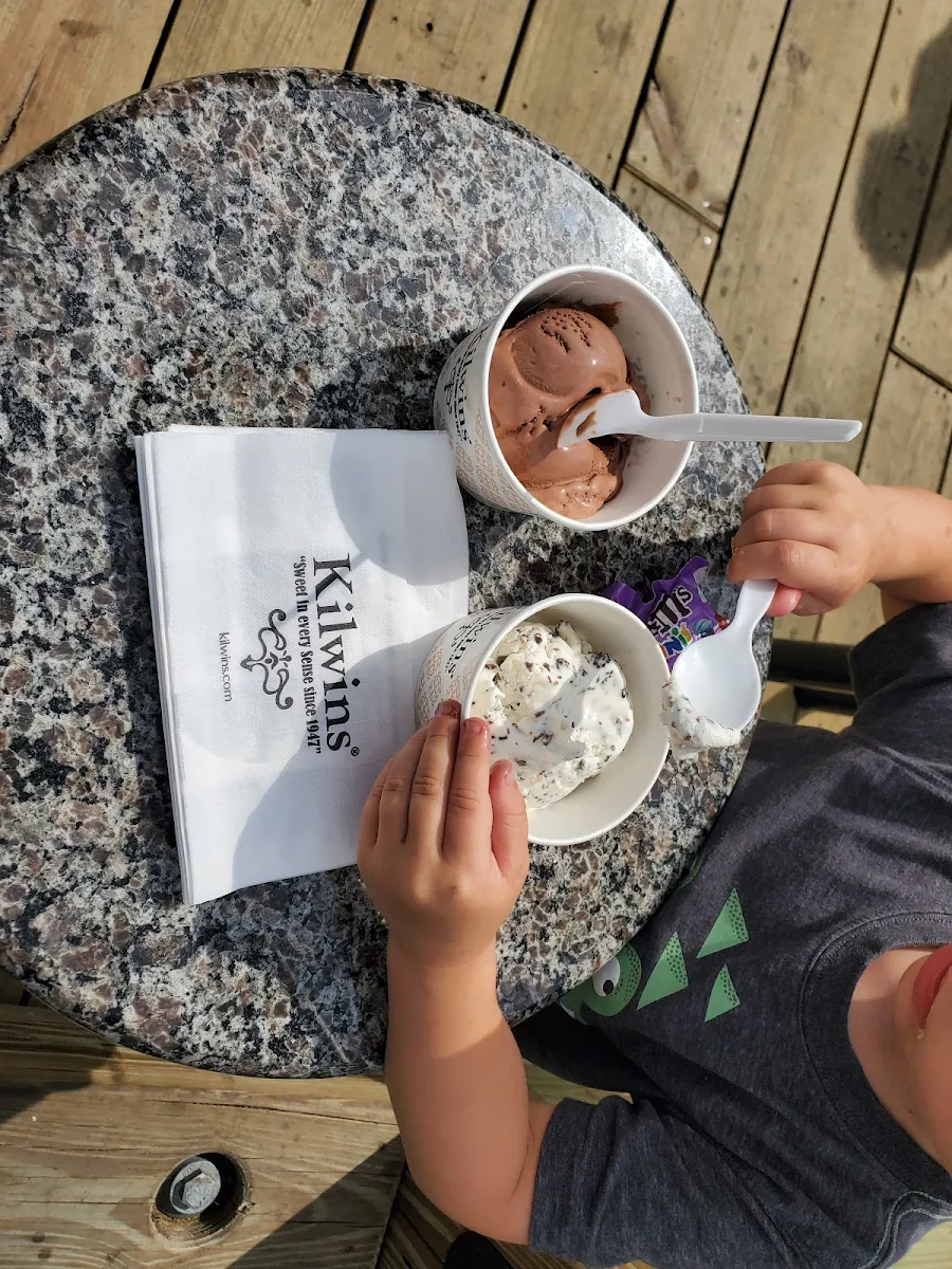 Toasted Coconut Ice Cream