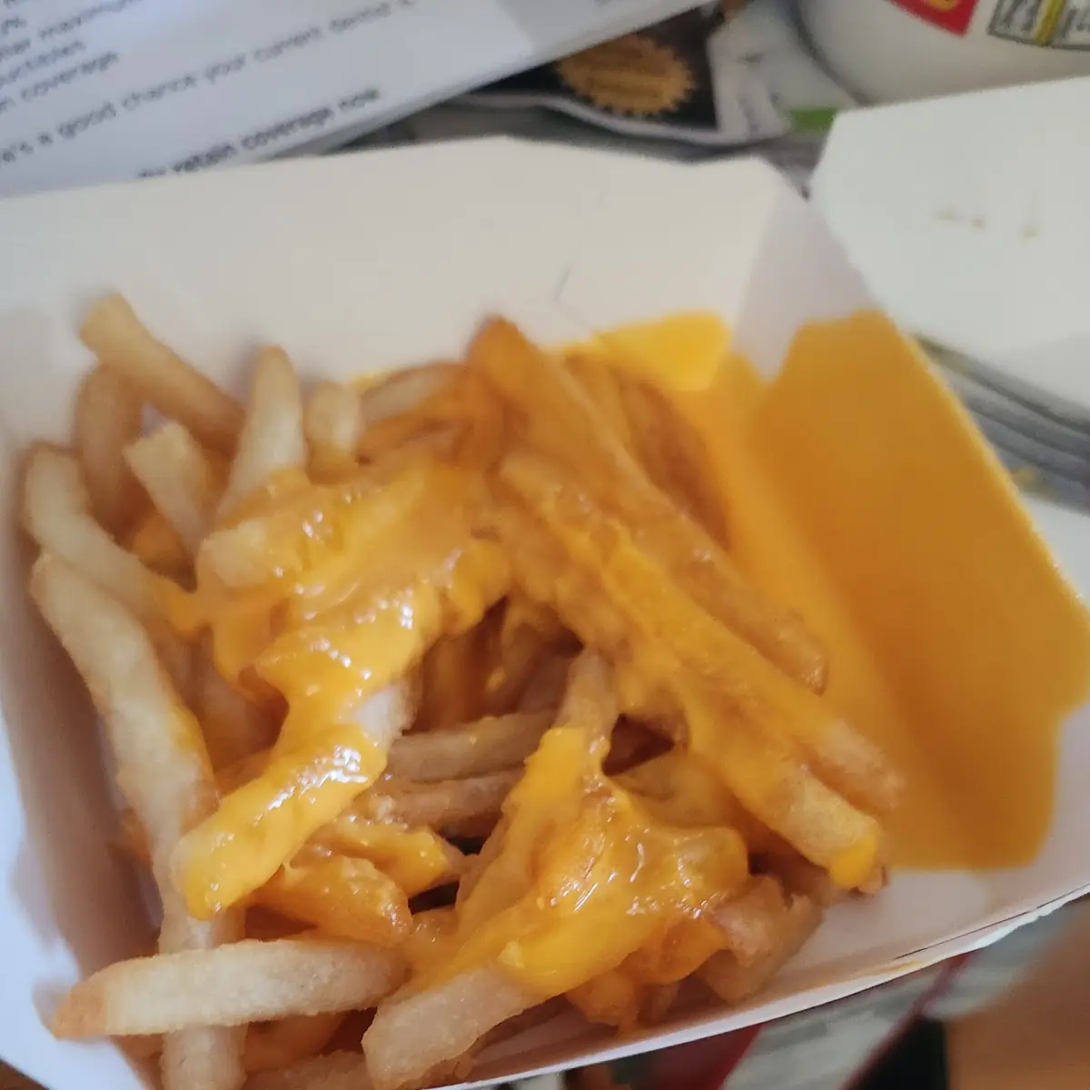 Cheese Fries