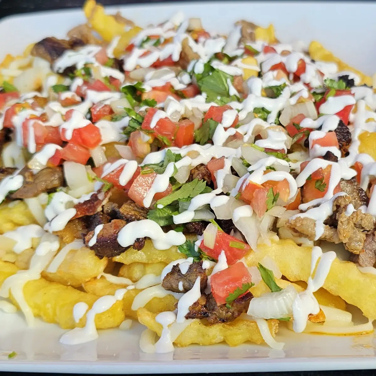 Carne Asada Fries