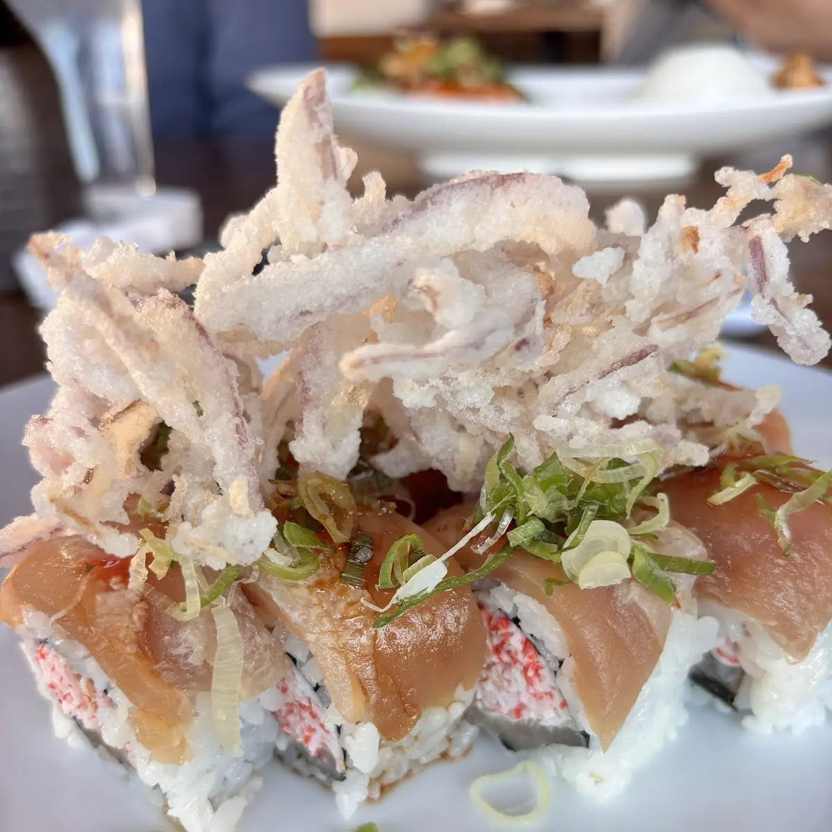Albacore Delight