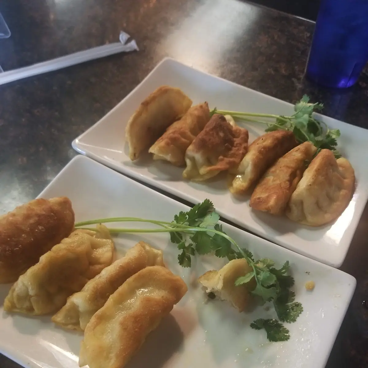 Chicken Dumplings