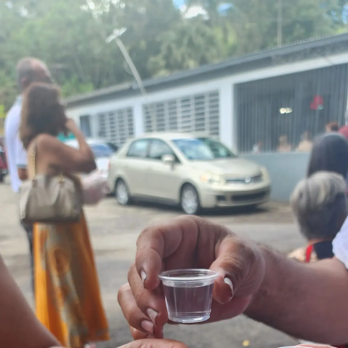 Choop de Anís Y Bacardi