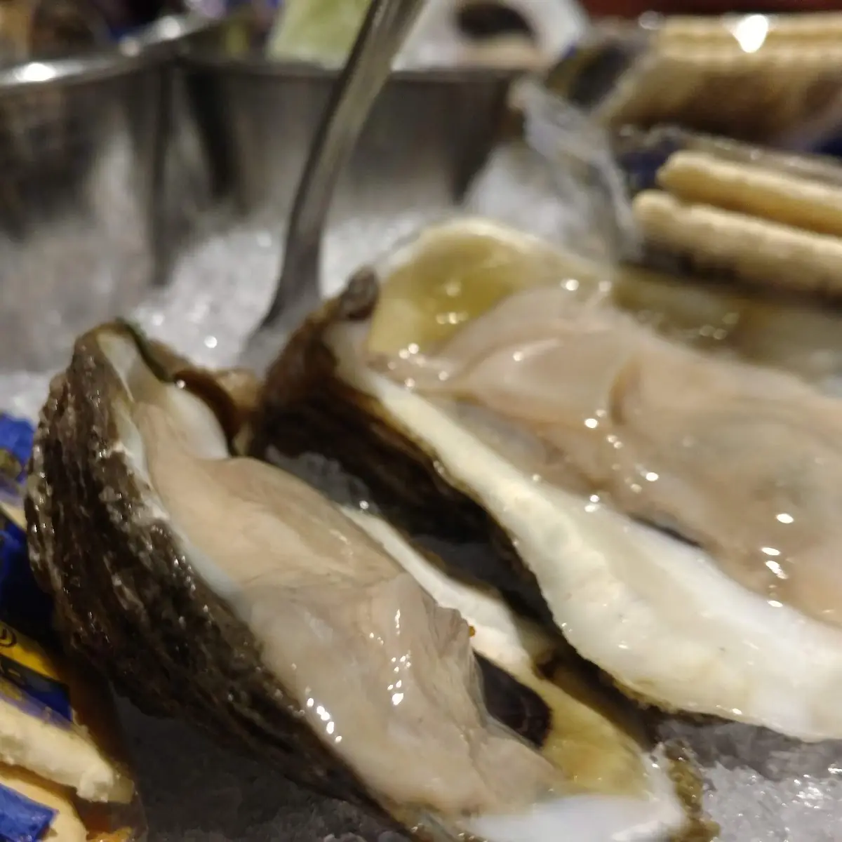 Raw Oysters
