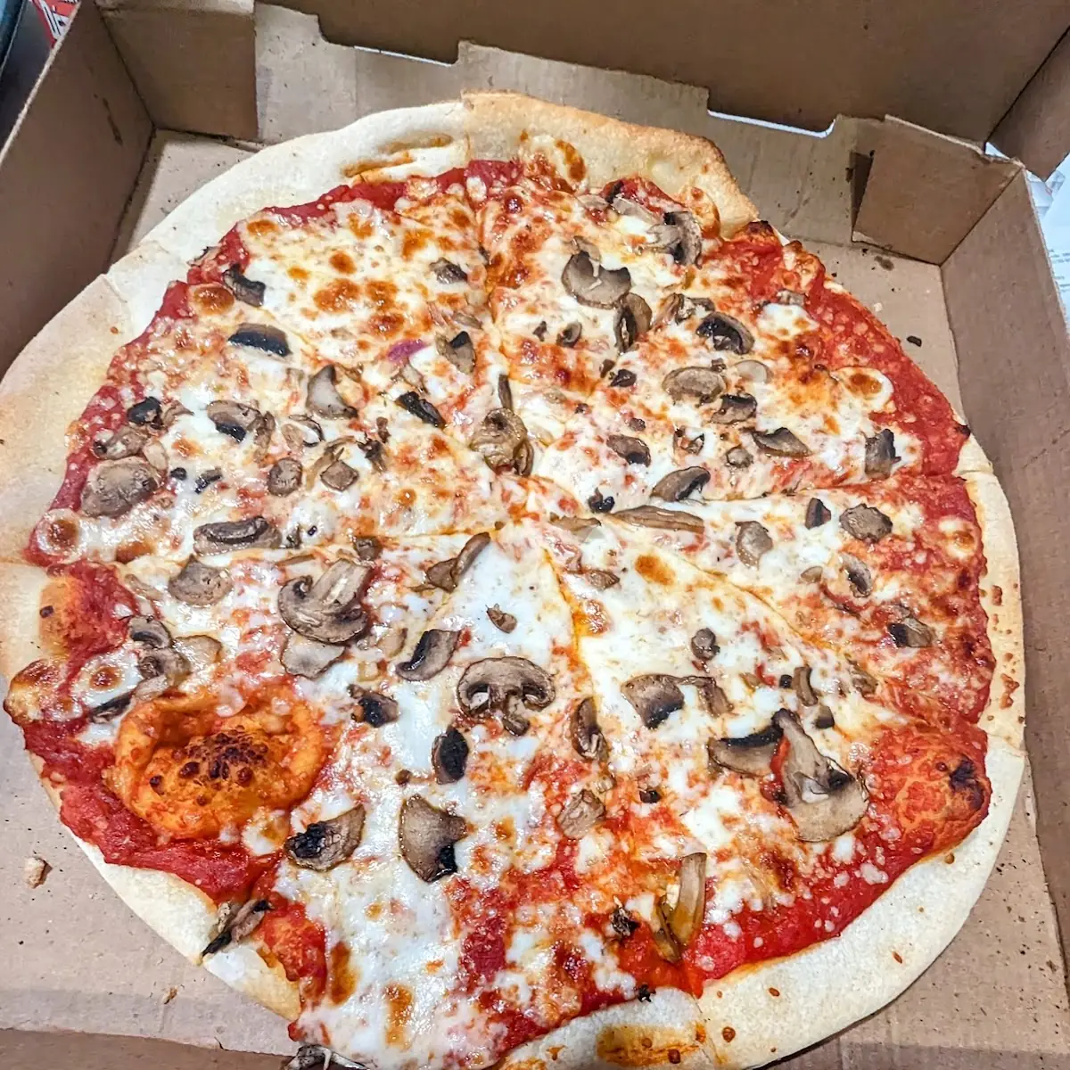 Large Mushroom Pizza