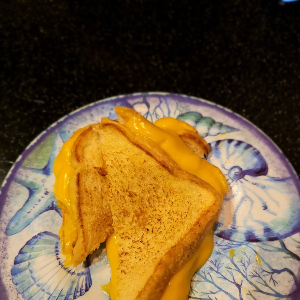 Grilled Cheese Sandwich