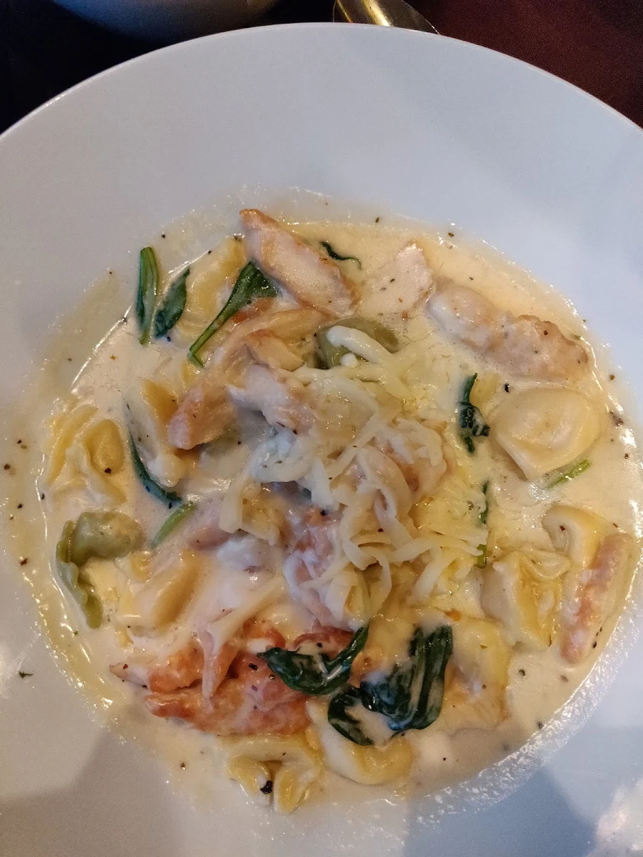 Veal Quattro Formaggi