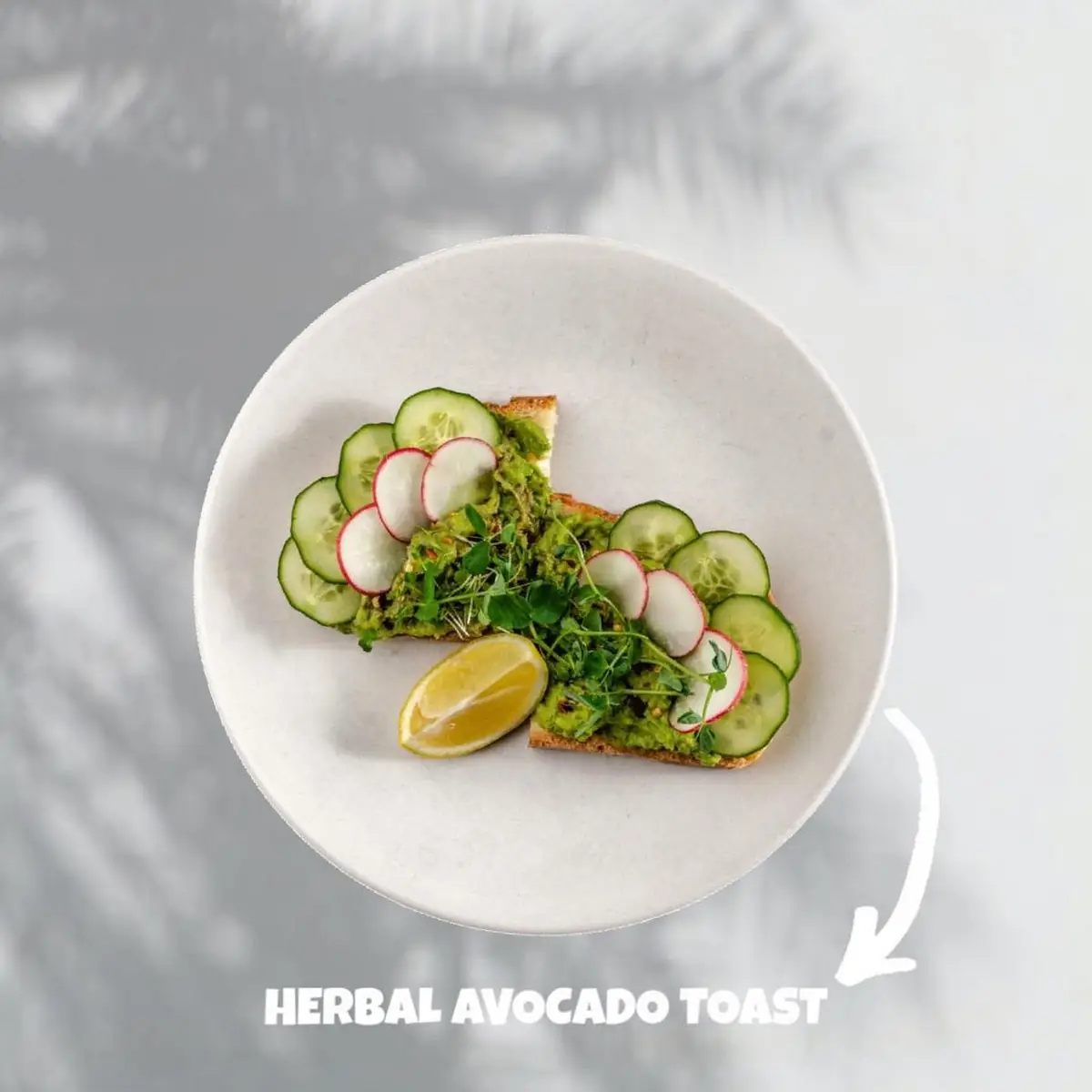 Herbal Avocado Toast