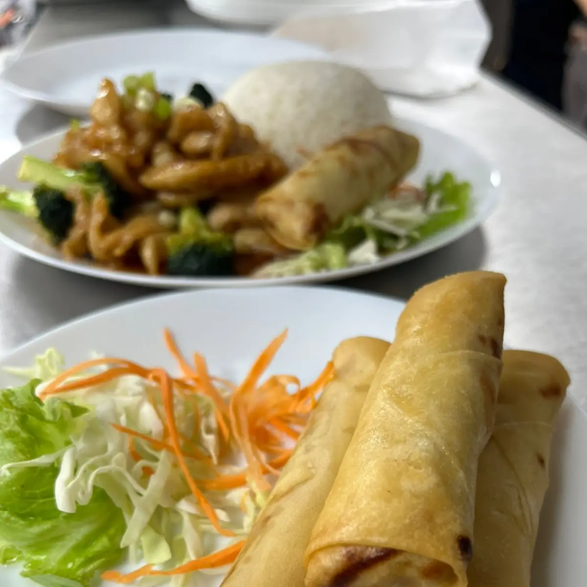 Spring Rolls 3