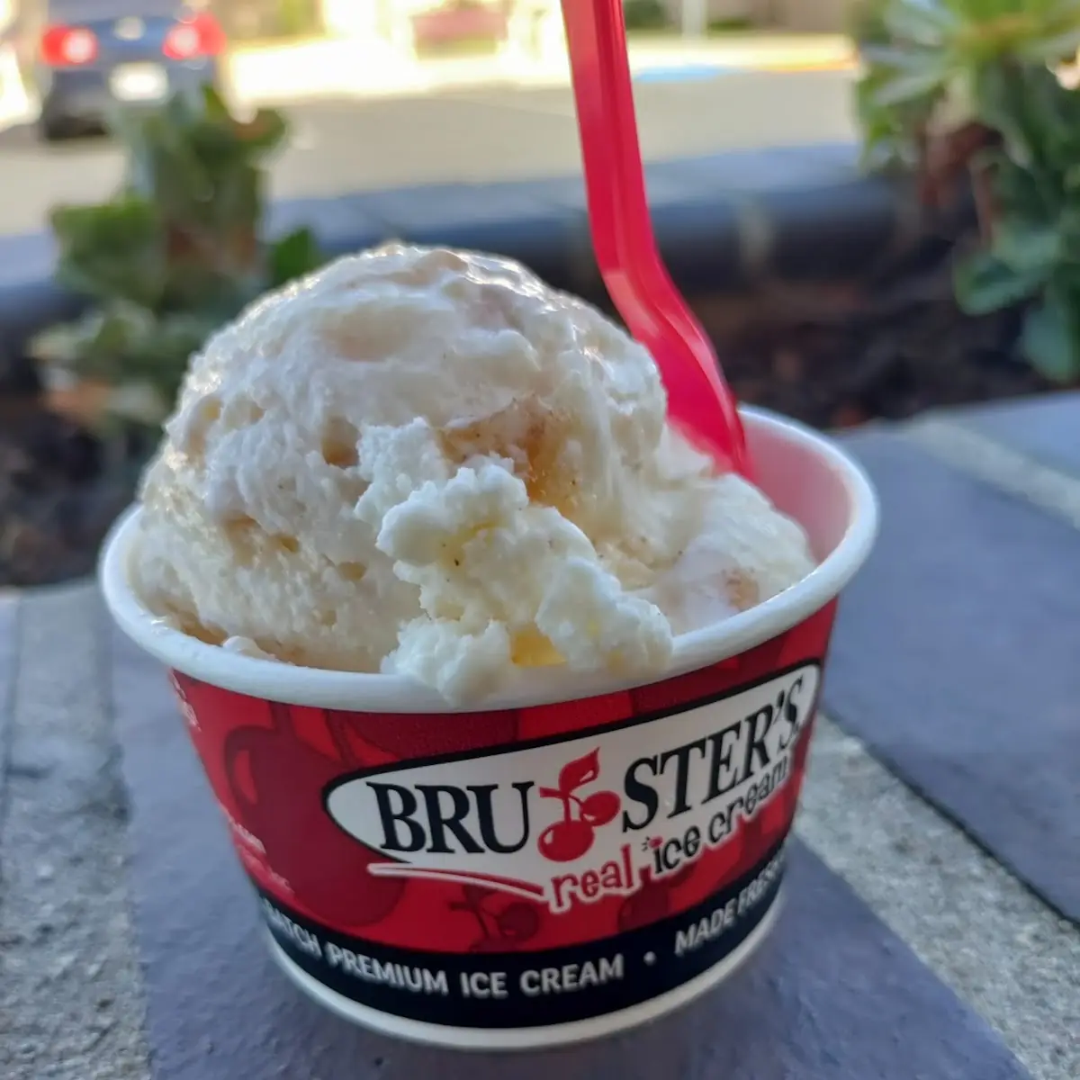 Deep Dish Apple Pie