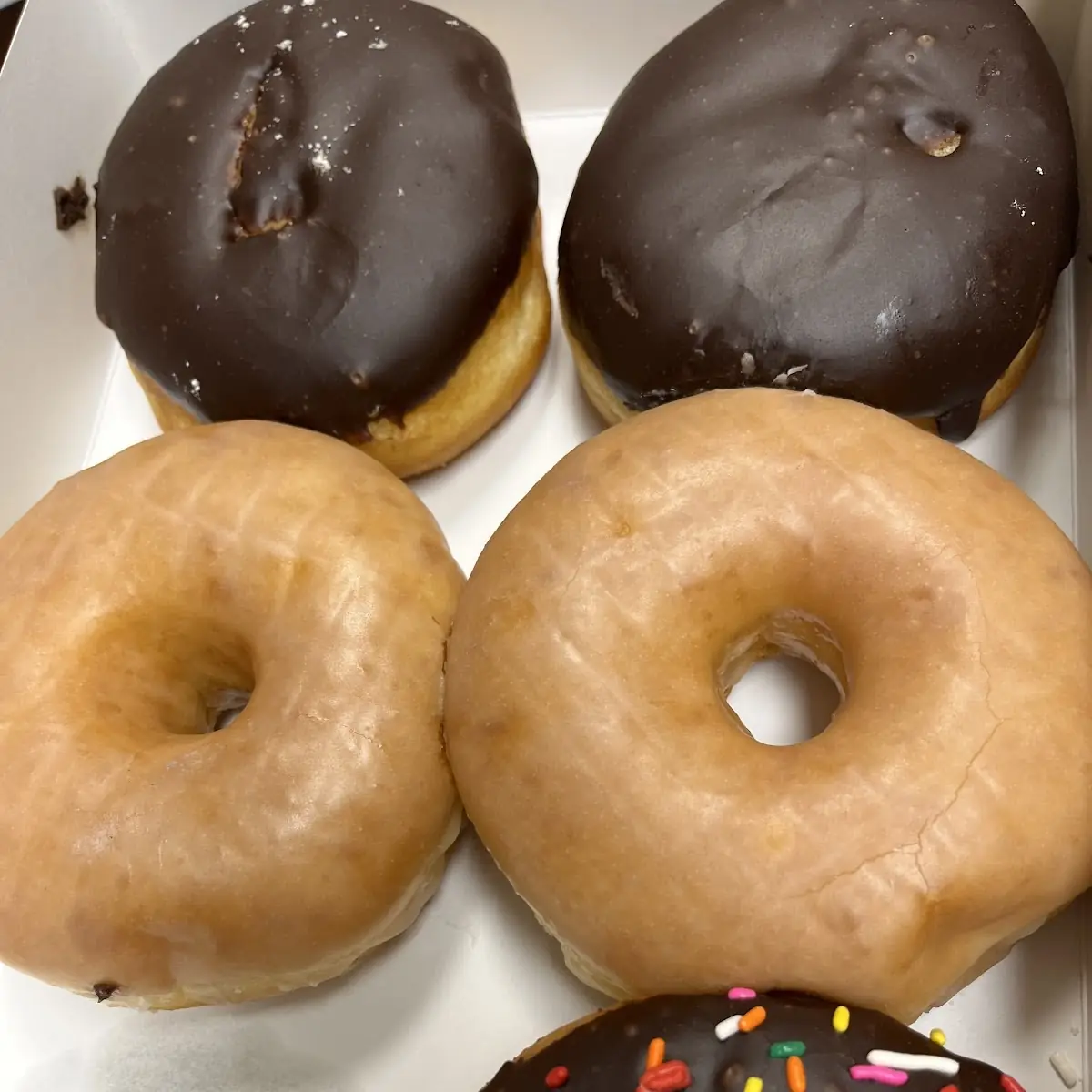 Doughnut