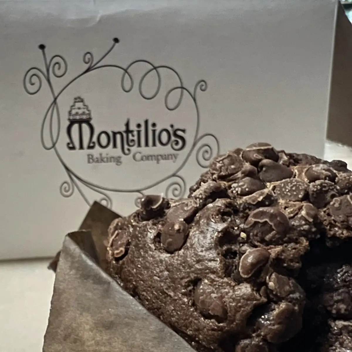 Double Chocolate Chip Muffins