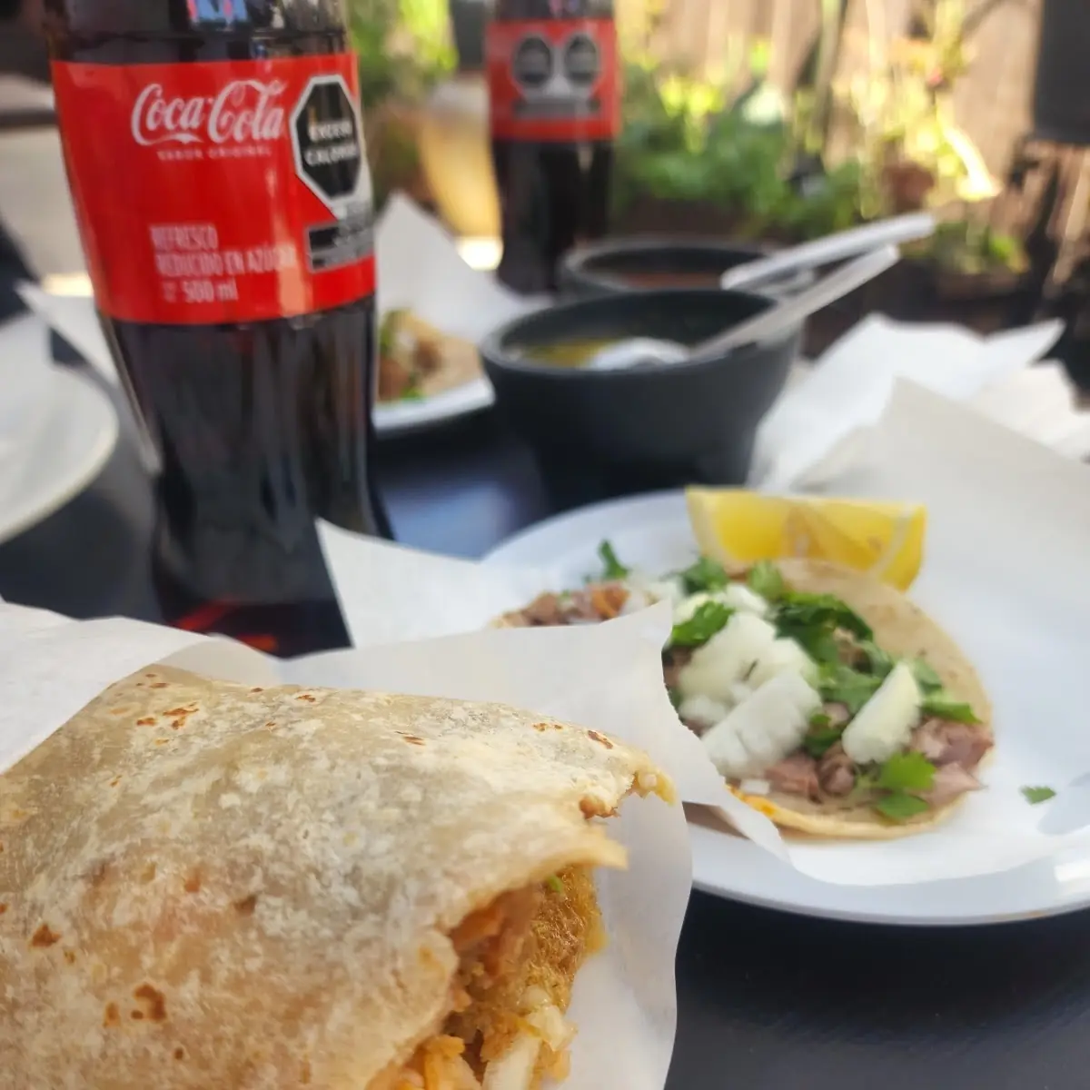 Chicharron En Chile Verde Burrito