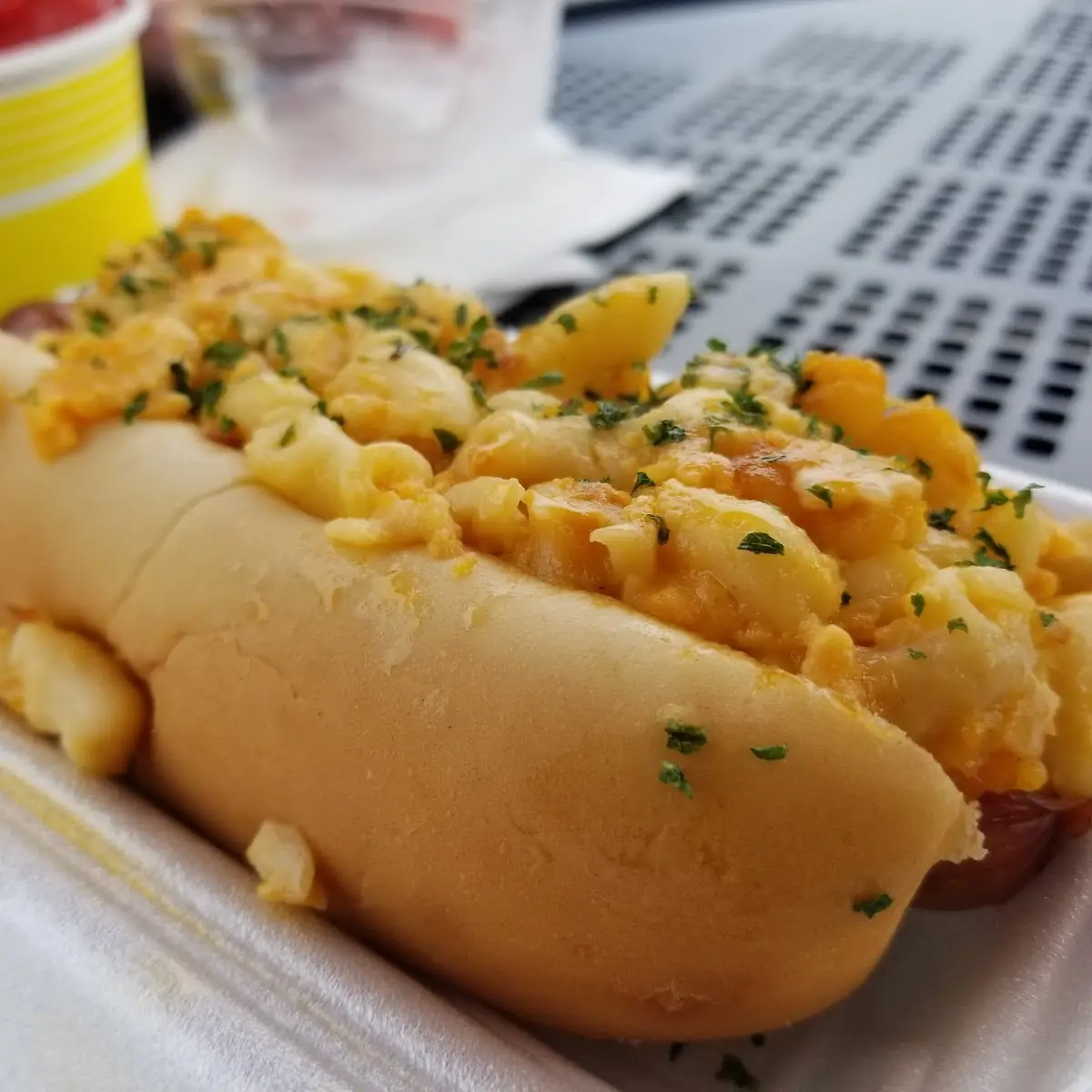 Mac and Cheese Dog