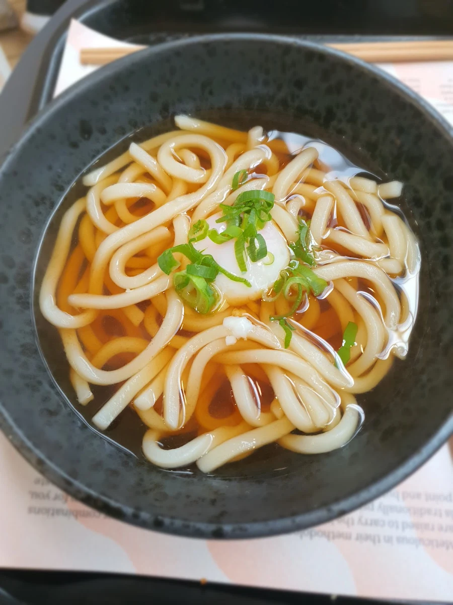 Udon Noodle Soup