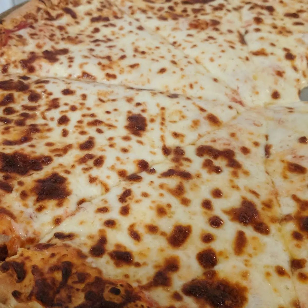 Extra Cheese Pizza