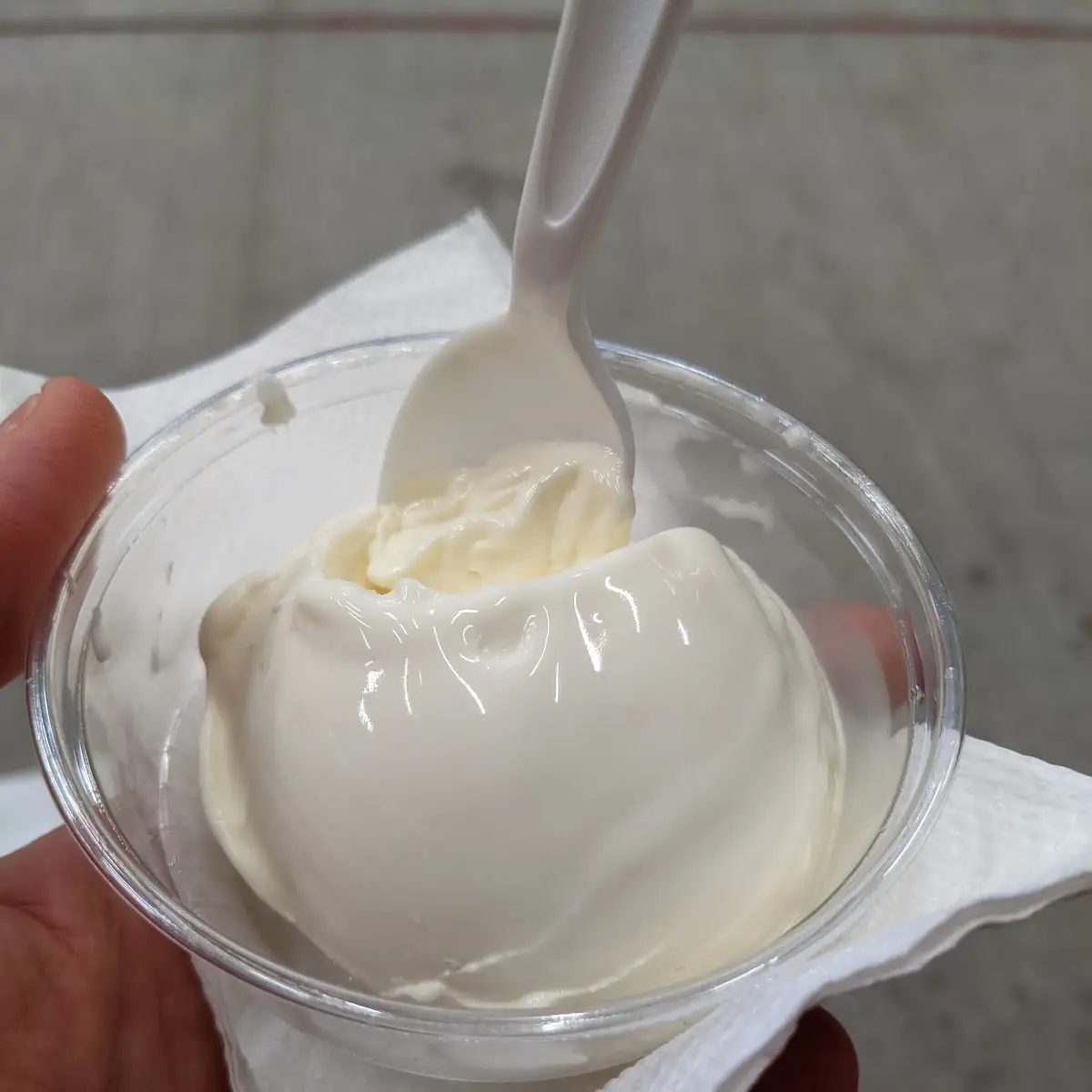 Single Scoop Vanilla Custard
