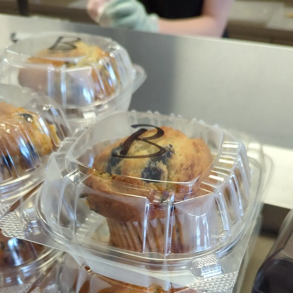 Blueberry Muffin