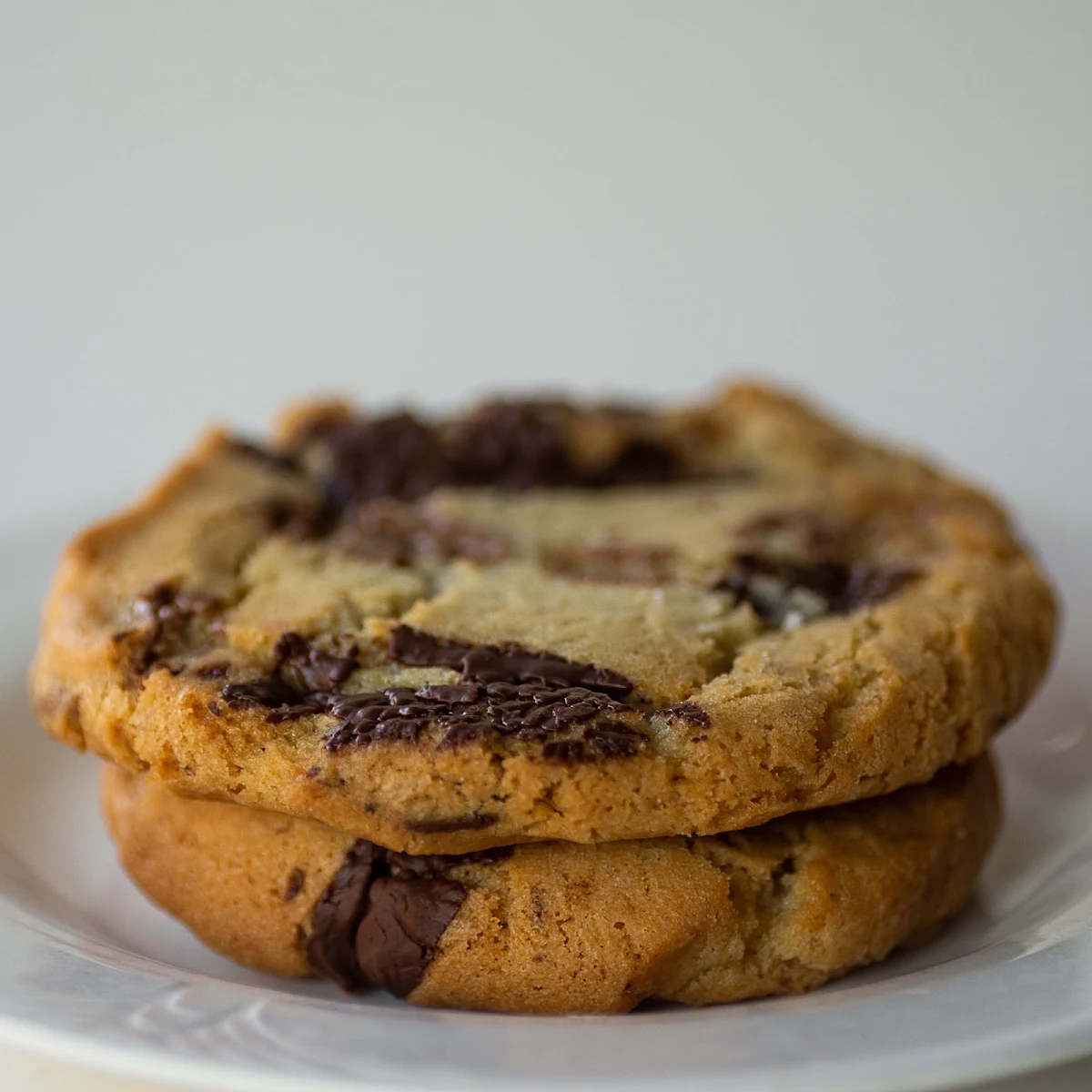 6 the One Chocolate Chip Cookie