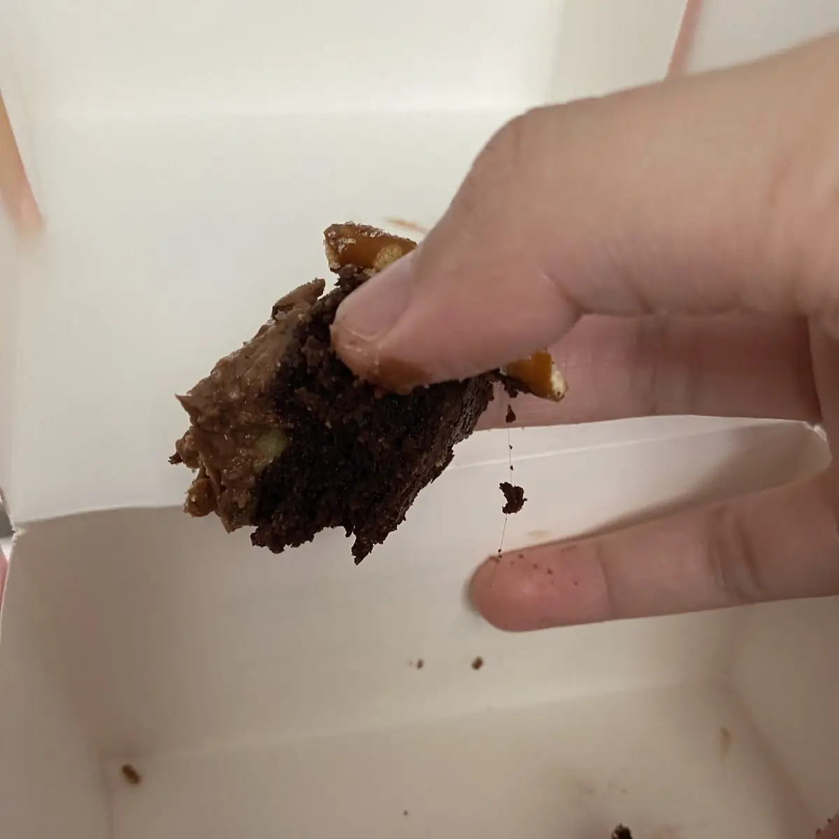 Chocolate Brownie