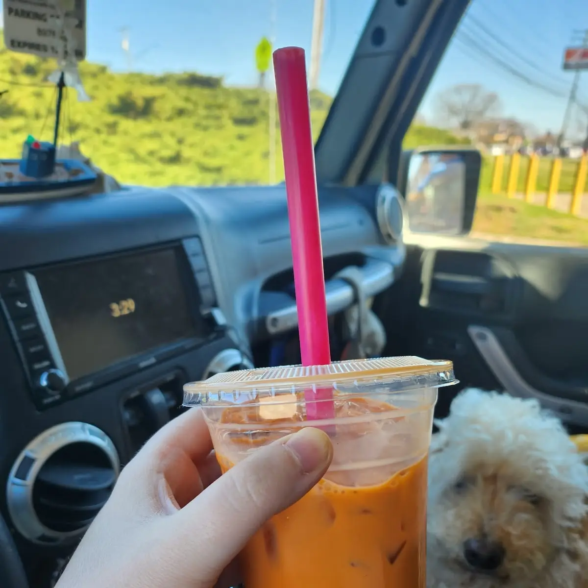Thai Tea