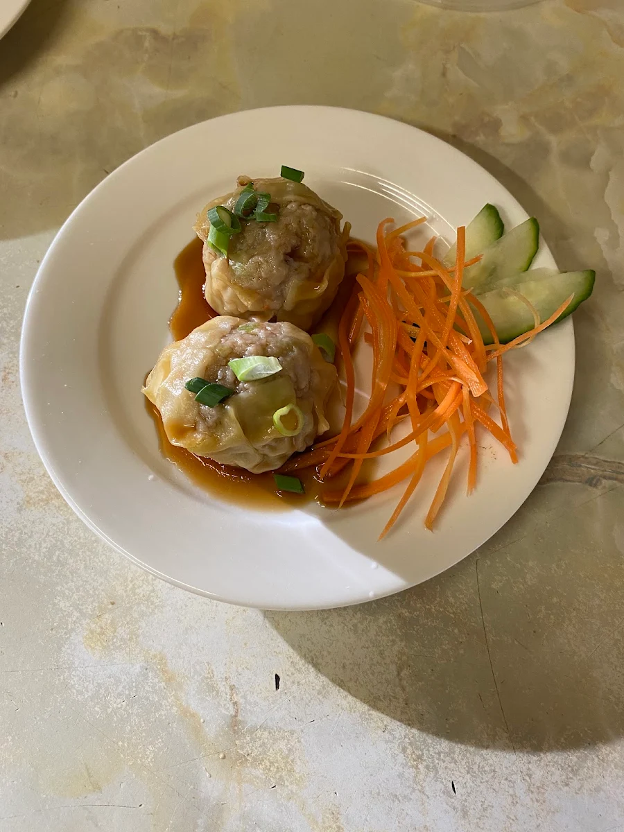 Dim Sim- Steamed or Fried, Awesome Noodle Asian Cuisine
