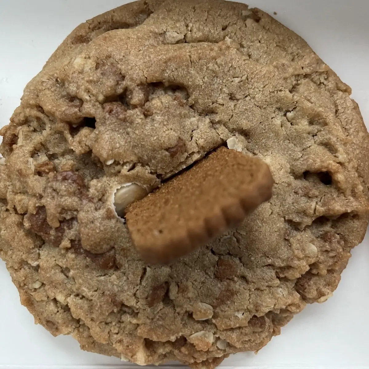 Cookie Butter White Chip