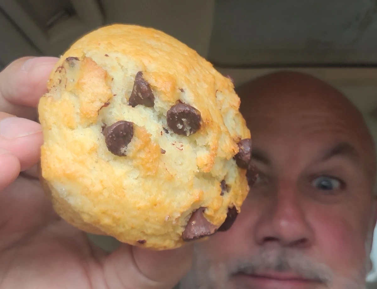 Chocolate Chip Muffin