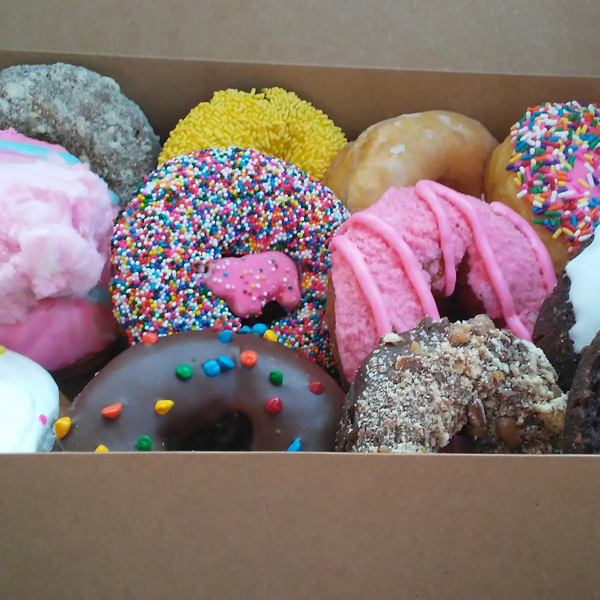 Doughnut