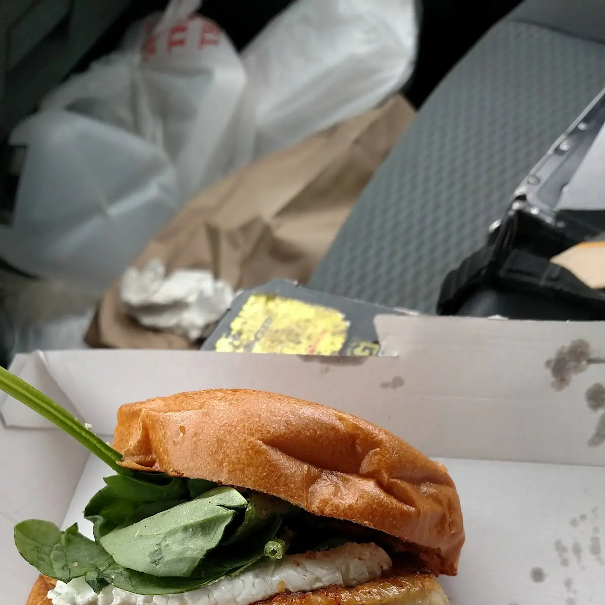 Crispy Chicken Sandwich w Chips