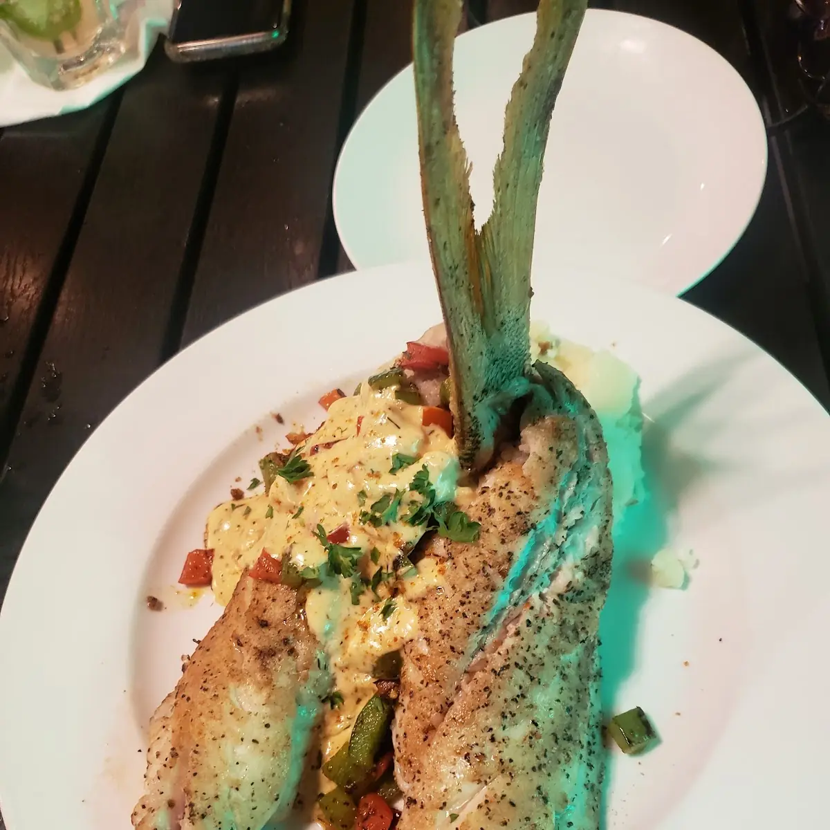Special Yellow Tail Snapper
