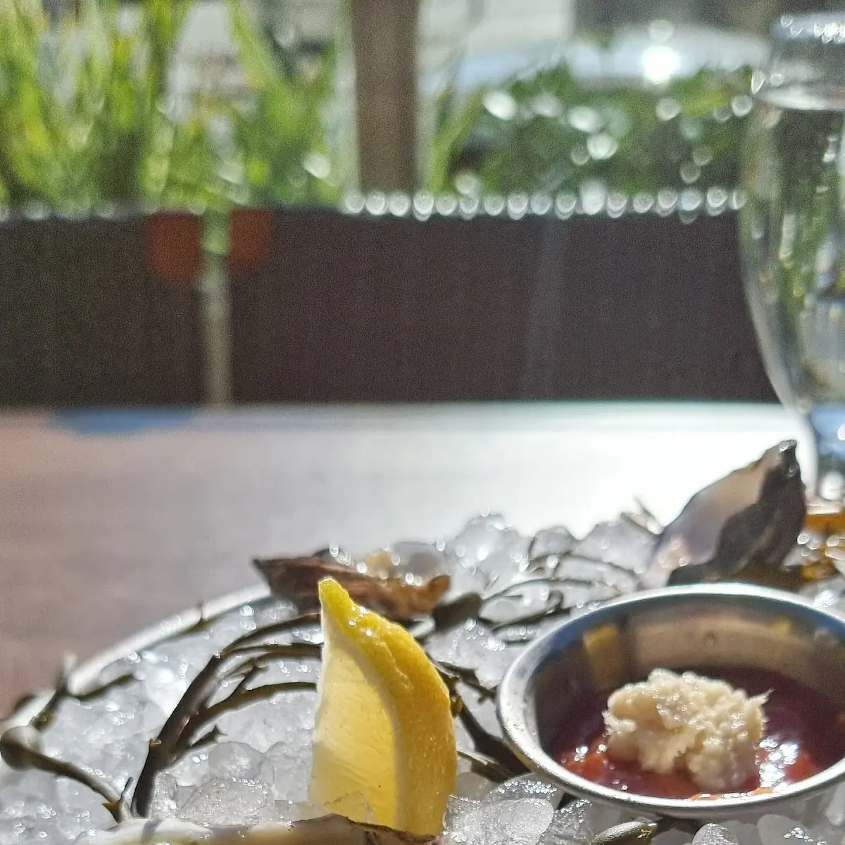 Oysters on the Half Shell