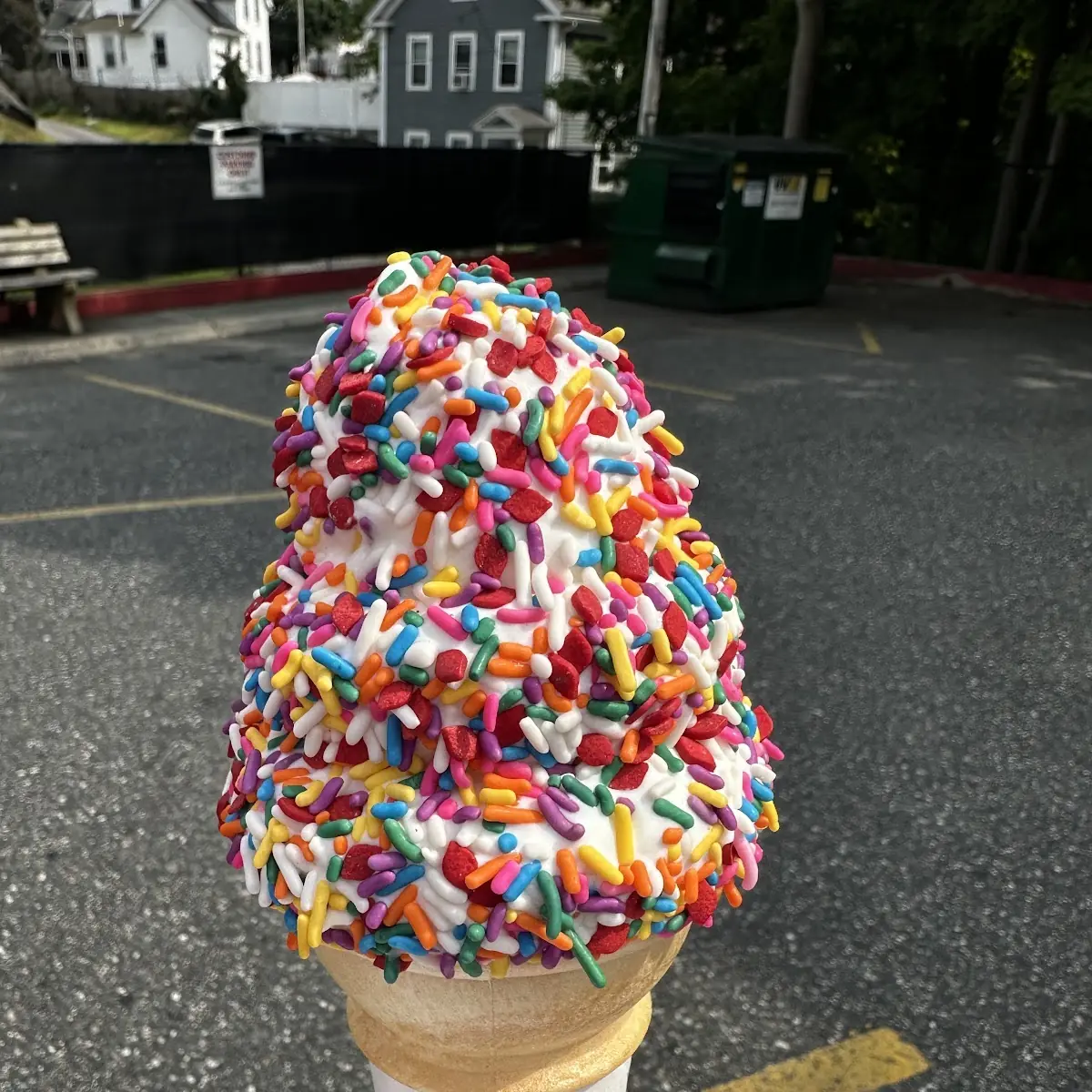 Vanilla Ice Cream with Rainbow Sprinkles