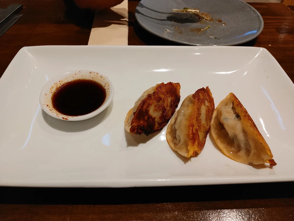Pork Dumplings, Seven Lanterns Sylvania