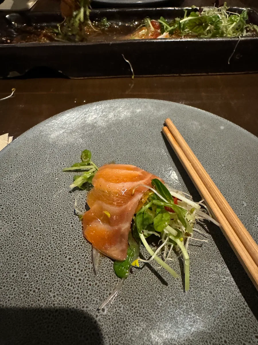 Salmon Ceviche, Seven Lanterns Sylvania