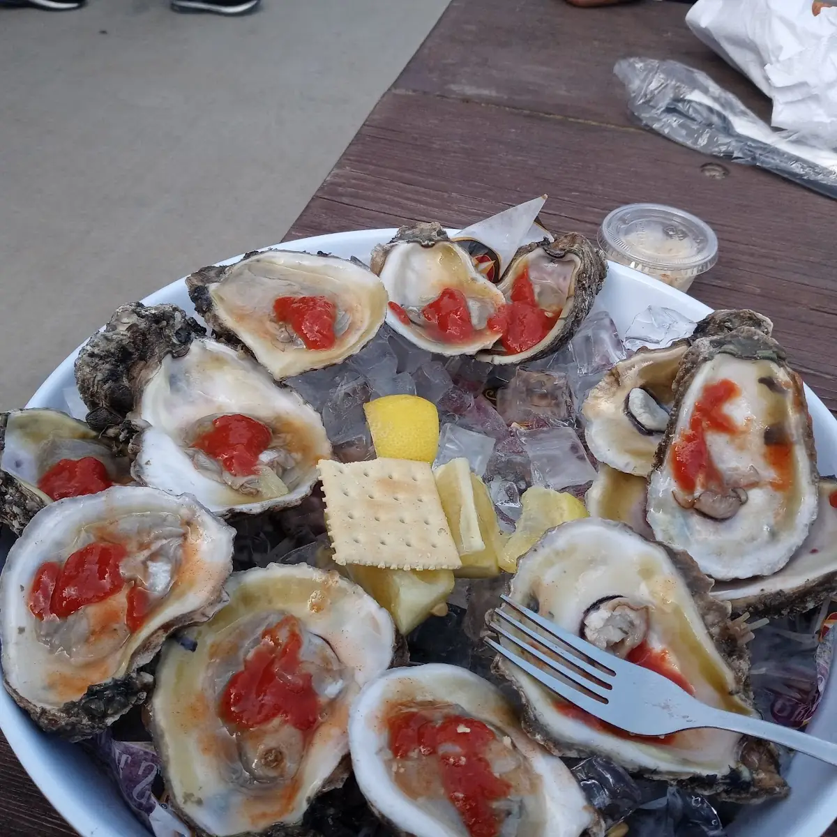 Oysters on the Half Shell