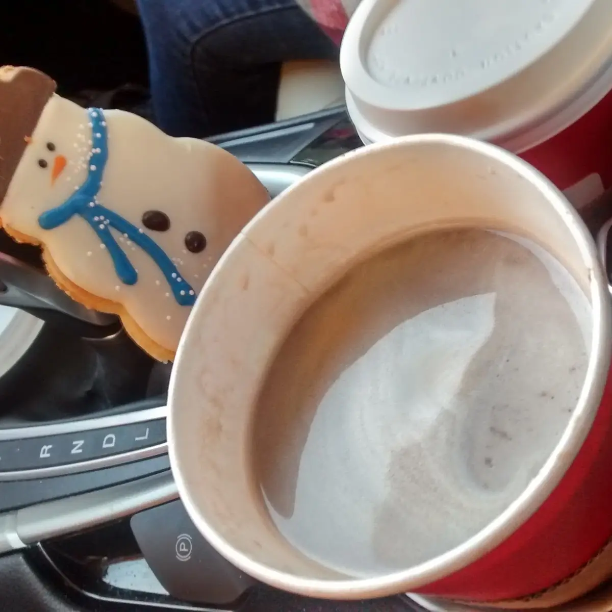 Peppermint Hot Chocolate