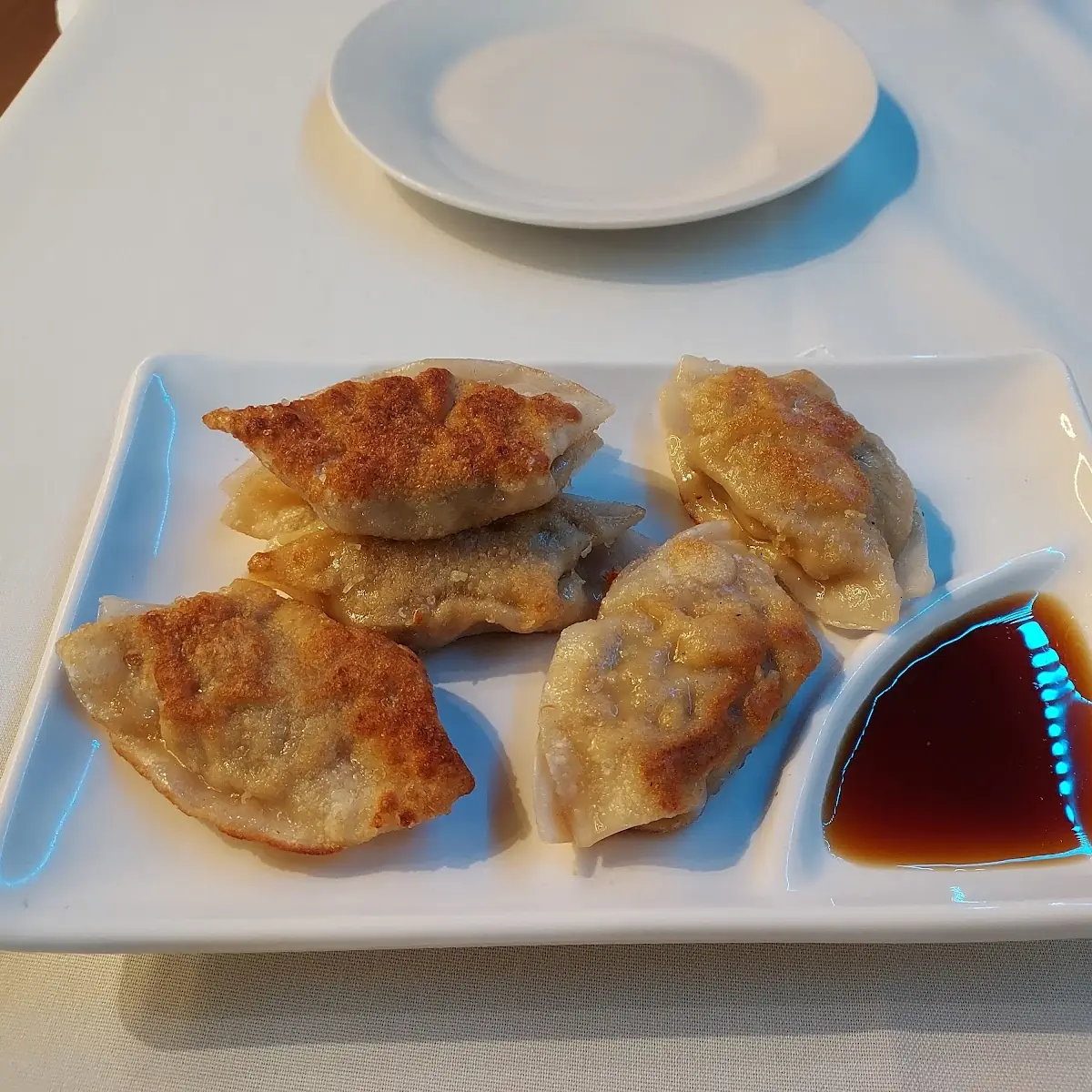 Pan-Fried Pork Dumplings