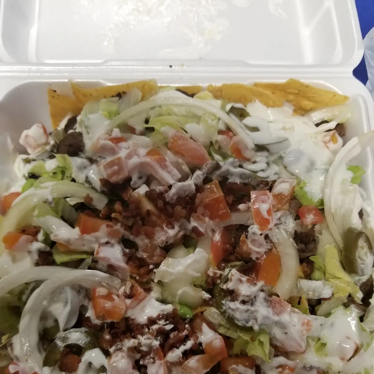 Carne Asada Fries
