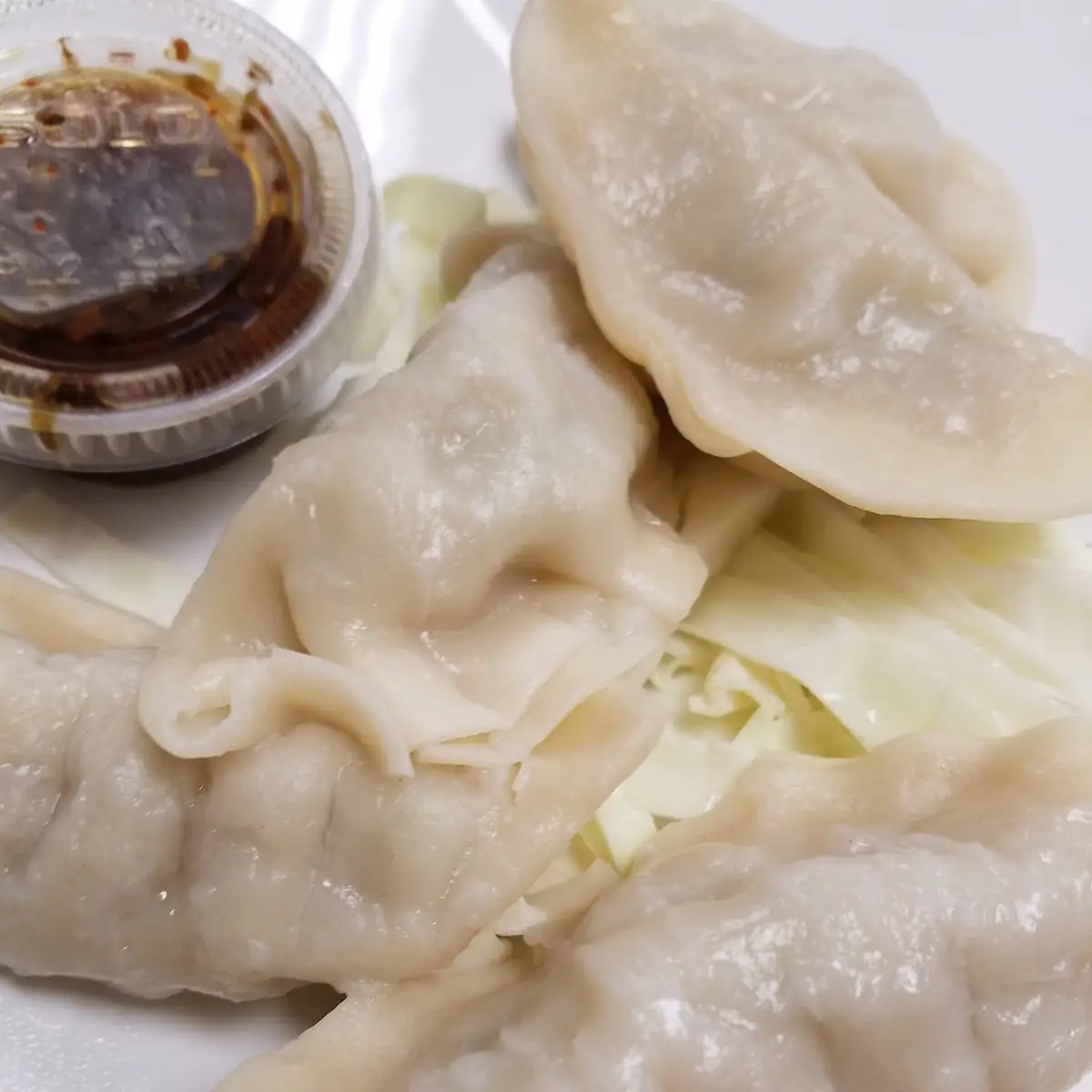 Dumplings Potstickers