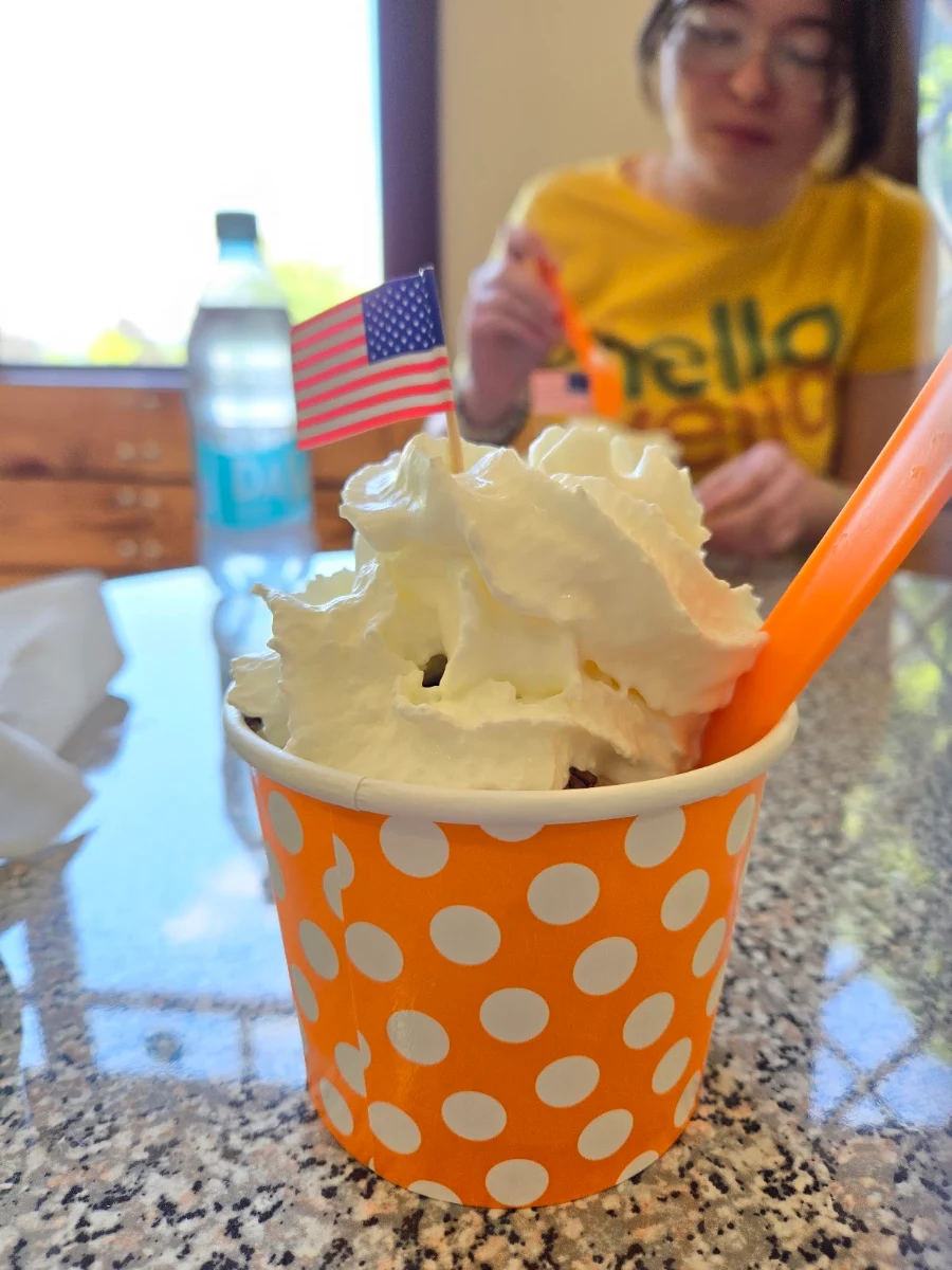 Vanilla Ice Cream