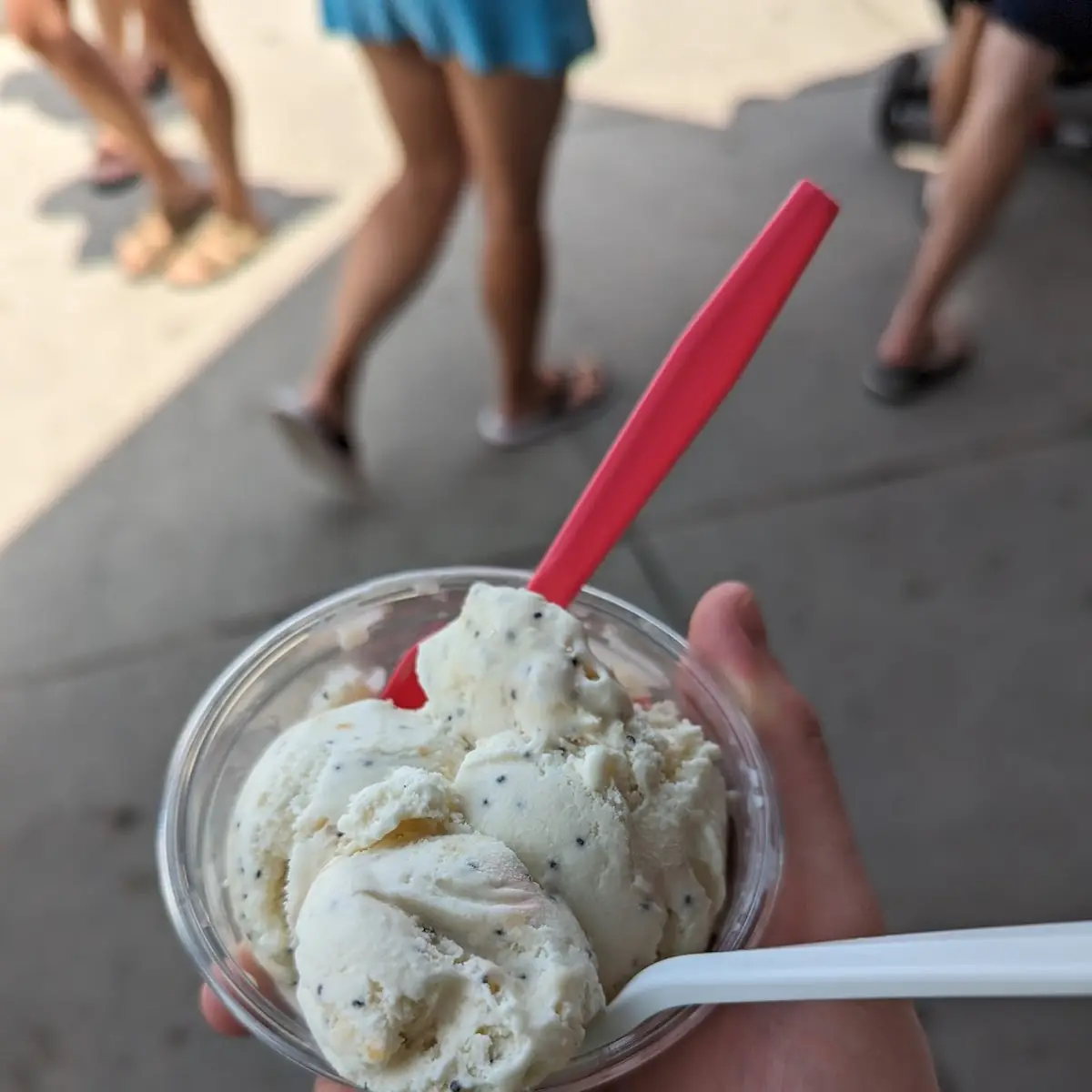 Everything Bagel Ice Cream