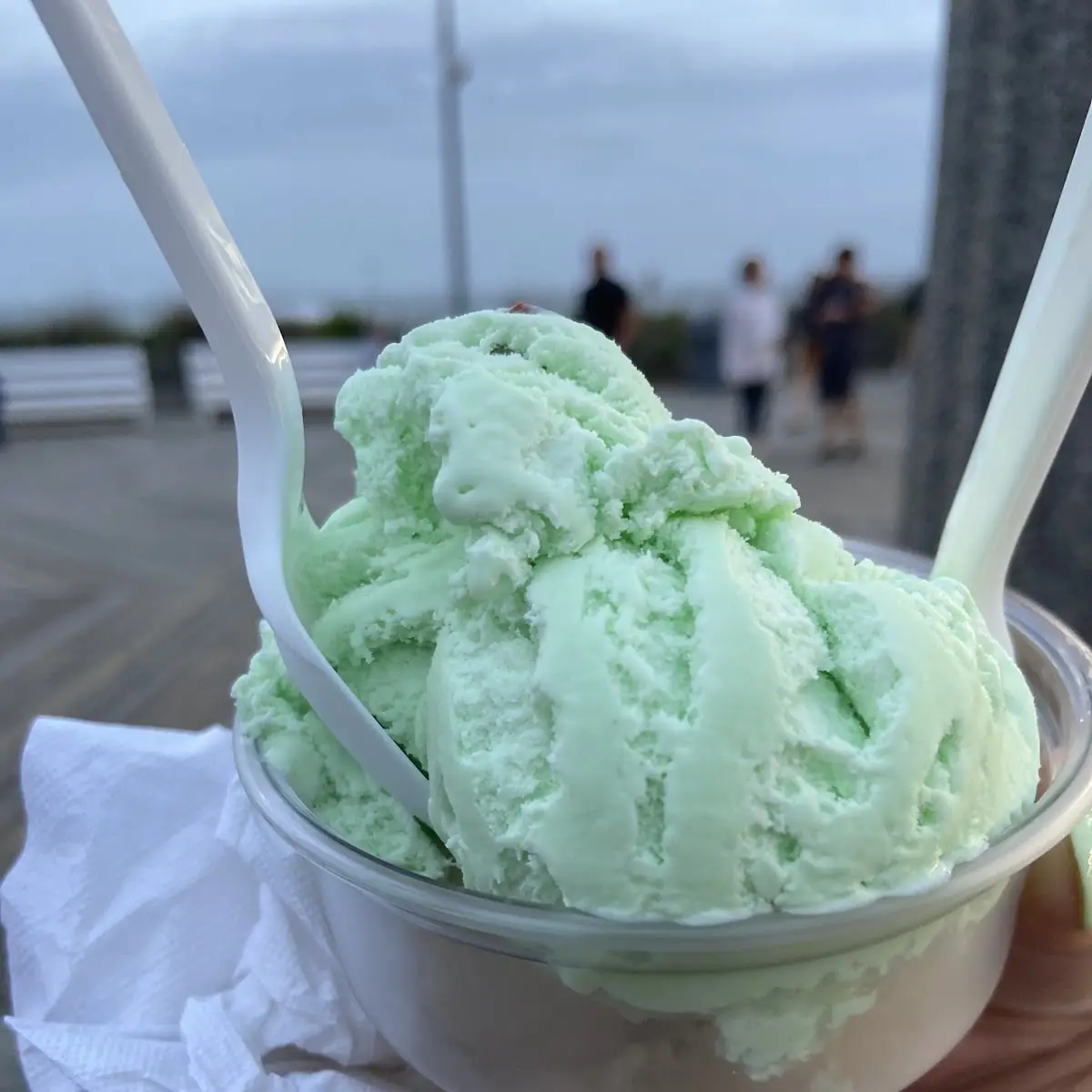 Green Mint Chip