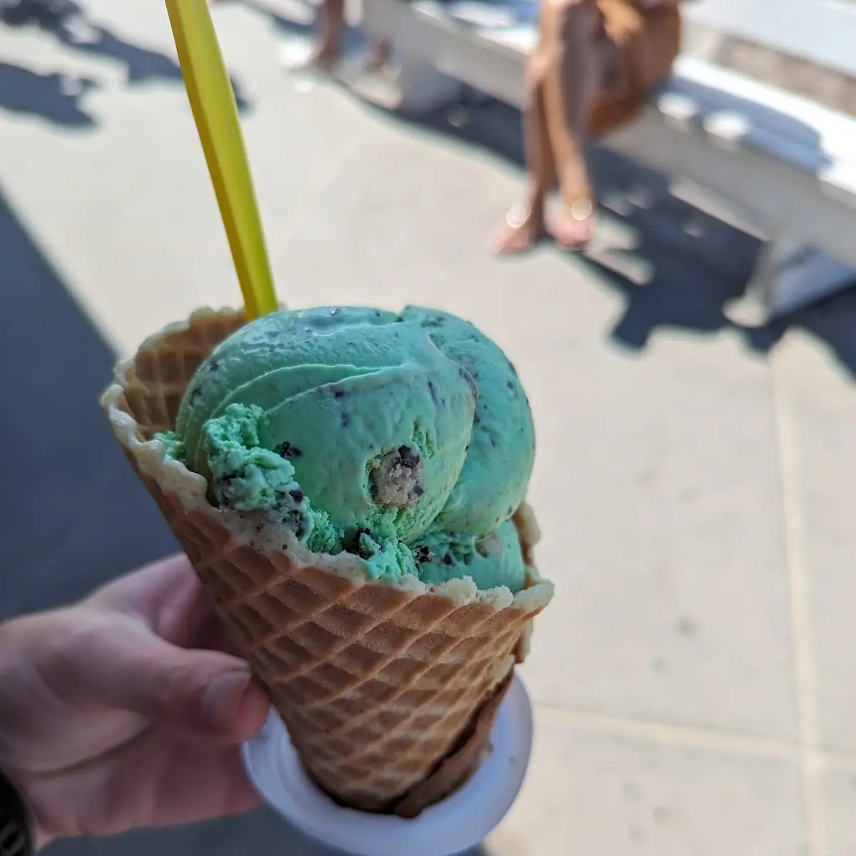 Mint Chocolate Chip Cookie Dough