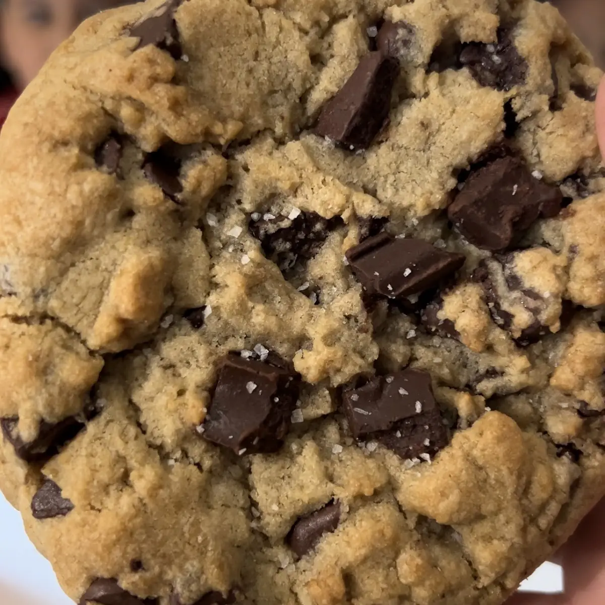 Chocolate Chip Cookie