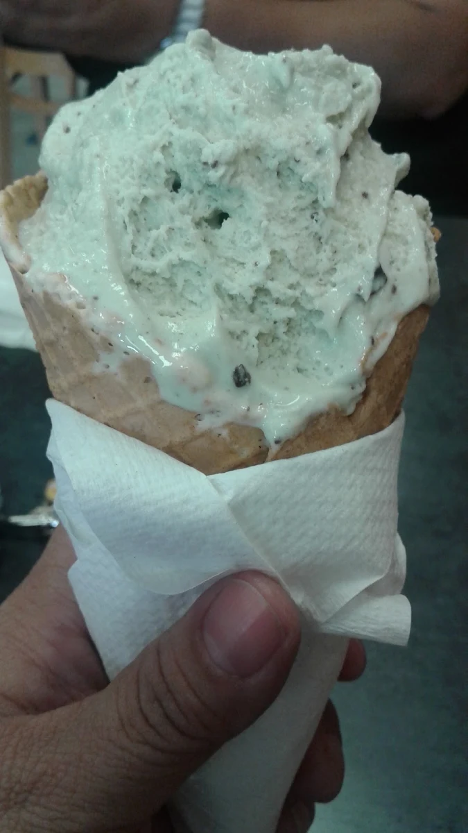 Mint Chocolate Chip