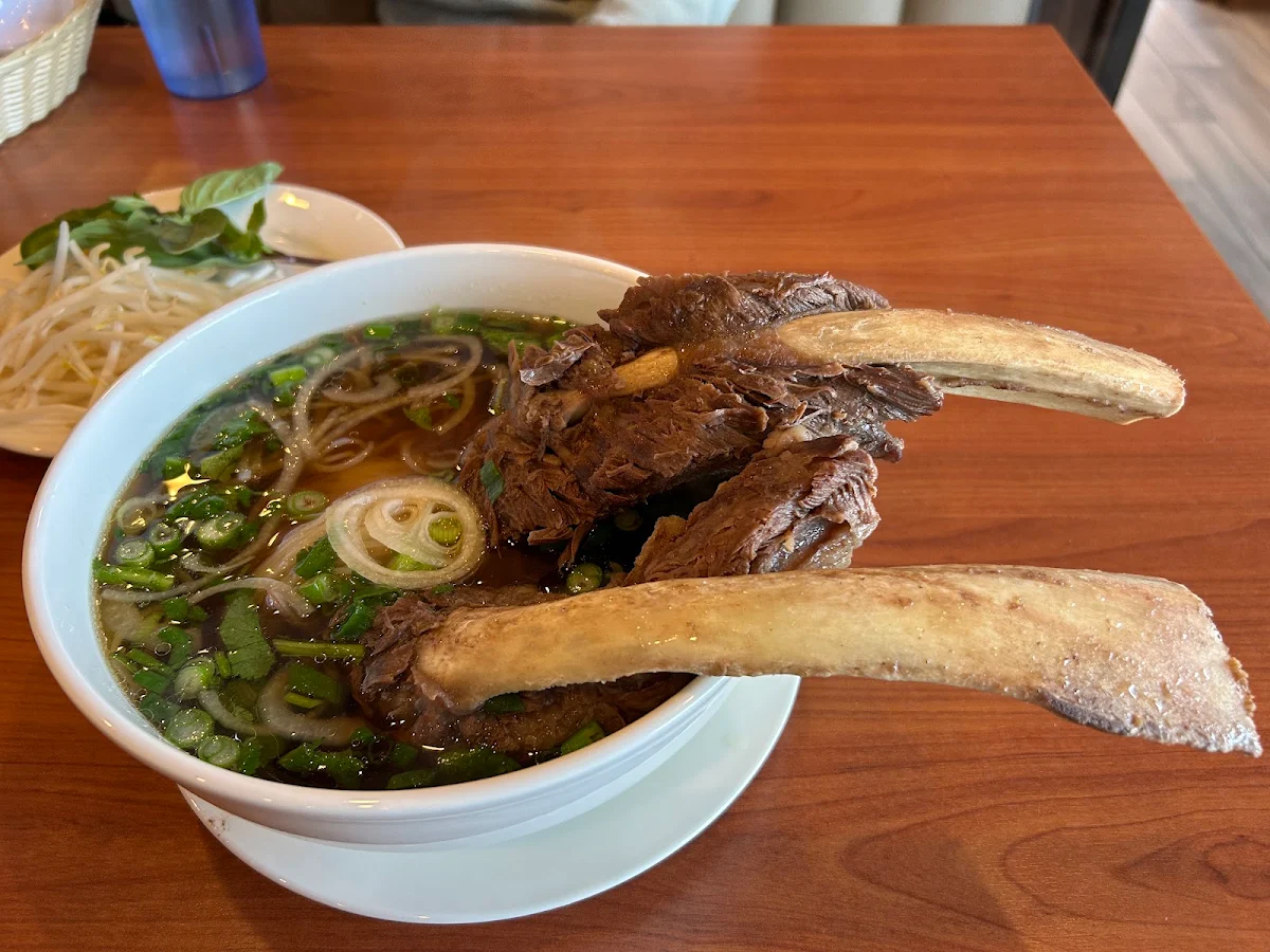 Beef Short Rib Pho Noodle