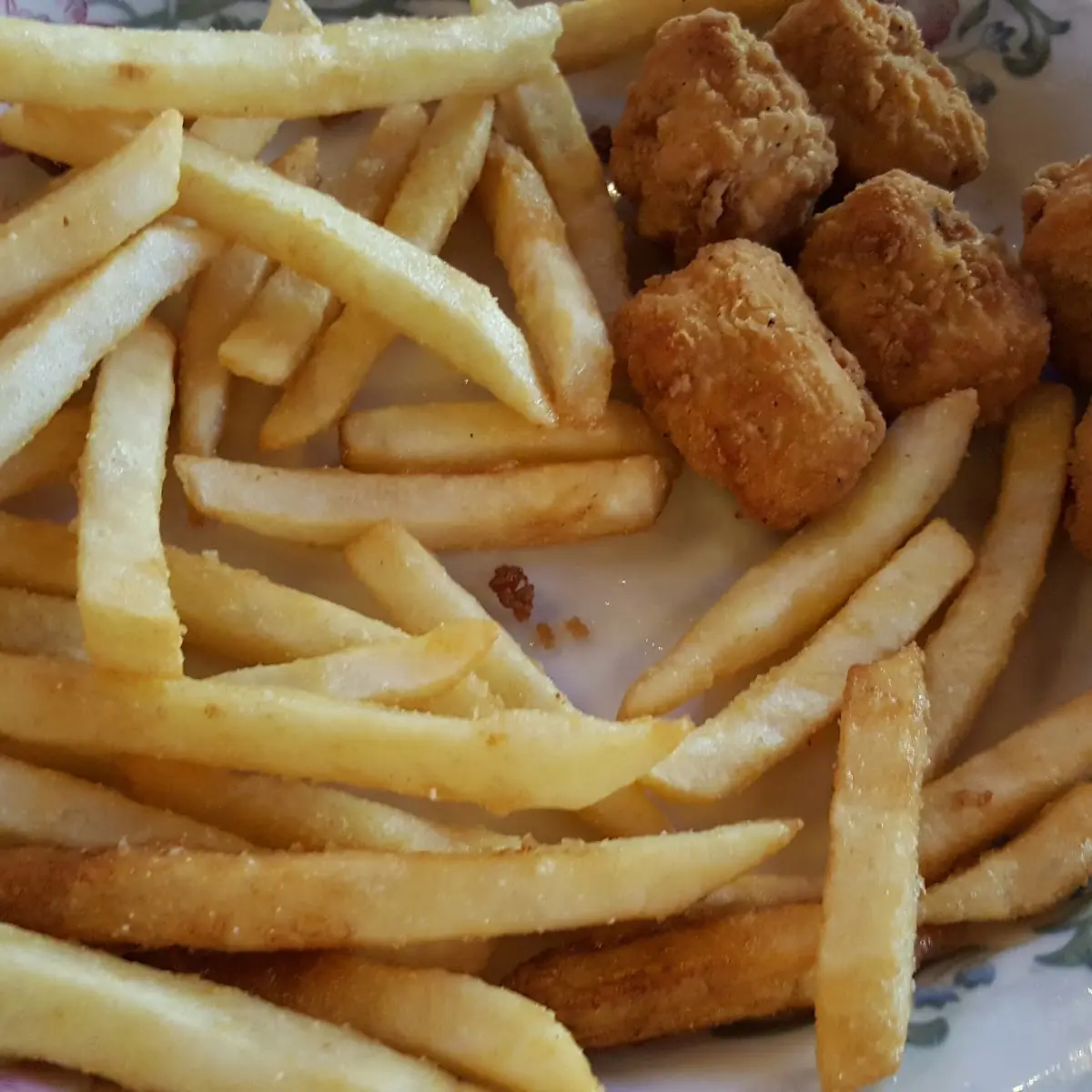 Kid's Chicken Nuggets and Fries