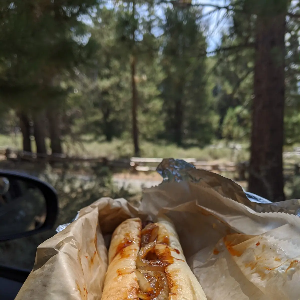 Elk Hot Dog